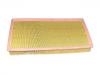 Filtro de aire Air Filter:1 665 421