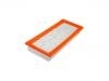 Air Filter:5M6Z-9601-AA