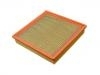 Air Filter:25099136