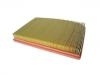 Air Filter:K558-13-Z40