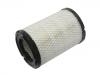 Filtro de aire Air Filter:15239447