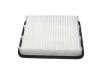 Air Filter:A21-1109111FL