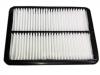 Air Filter:1109110A-P00-A1