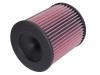 Air Filter:4N0 129 620 C